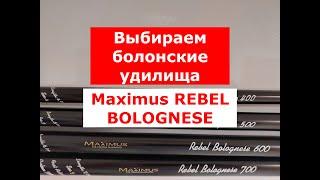 ВЫБИРАЕМ БОЛОНСКОЕ УДИЛИЩЕ | УНИВЕРСАЛЬНОЕ удилище MAXIMUS REBEL | ЛУЧШИЕ БОЛОНСКИЕ УДИЛИЩА | ОБЗОР