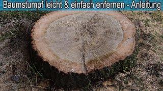 Großen Baumstumpf mit Wurzel mühelos & einfach entfernen – Tipps & Tricks – Lifehack im Garten