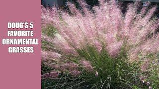 Doug's 5 Favorite Ornamental Grasses