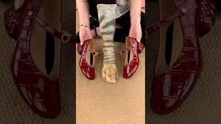 Women's Shoes Latest Design Good Recommendation #shortsfeed
