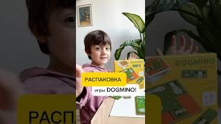 Распаковка игры «DOGMINO» Djeco