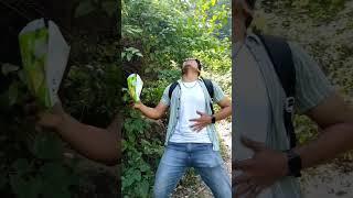 How Not To Kill A Pahadi  #dailyvlogs