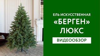 Искусственная ель "Берген" Люкс производства Green Trees обзор