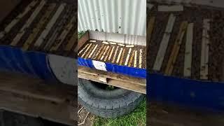 Вариант поилки для пчёл. Ульи Удав