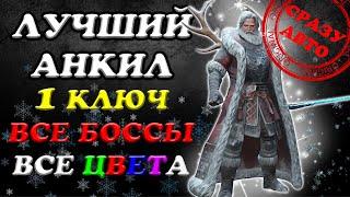 Лучший анкил! Все цвета! Все Боссы! 1 ключ! Сразу Авто Raid SL