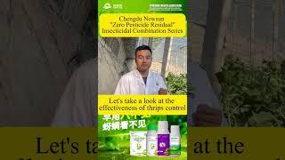 Chengdu Newsun “Zero Pesticide Residual” Insecticidal Combination Series