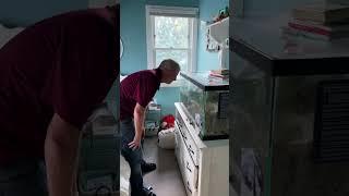 She Asked Dad To Look After Her Hermit Crabs  | The Dodo
