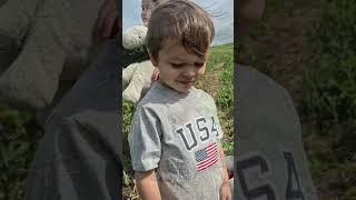 STRAWBERRIES!!!! 1ra. Parte.  #peruanosenusa #vlog #strawberry #fresas #usa #ohio
