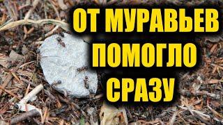 ЗА 1 РАЗ ИЗБАВИЛАСЬ ОТ МУРАВЬЕВ НАВСЕГДА! Я В ШОКЕ, ЭТОТ СПОСОБ РАБОТАЕТ