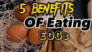 Benefits of Eating Eggs  #youtube #tips #healthylifestyle #knowledgefacts | @Muztube-tfk