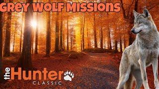 The hunter classic Grey Wolf Missions! Охота на волка! Выполняем миссии!