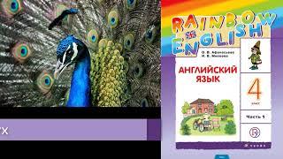 Rainbow English 4-1, Unit 2 Step 3, Английский язык 4 класс ч.1, Афанасьева.