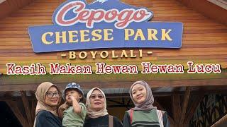 Kasih Makan Hewan Hewan Lucu Di Cepogo Cheese Park  #cepogocheesepark #boyolali  #hewanhewanlucu