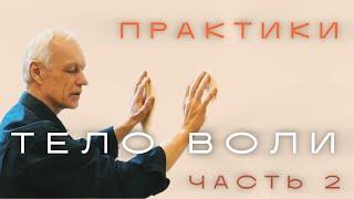 ПУТЬ СВОБОДЫ: ПРАКТИКИ ПРЕБЫВАНИЯ В ТЕЛЕ ВОЛИ - Ч. 2 Сергей Рубцов•Архив•1.11.2020