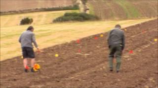 Field Walking