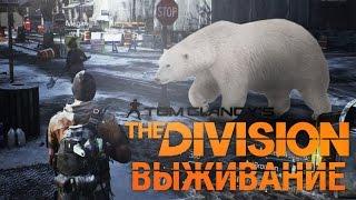 Tom Clancy's The Division Survival - РУССКИЙ МИШКА ВРЫВАЕТСЯ В БОЙНЮ! РЕЖИМ ВЫЖИВАНИЯ