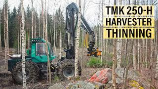 Tree Shear on a Prosilva Harvester - TMK 250-H