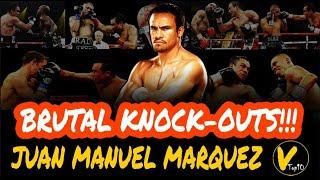 10 Juan Manuel Marquez Greatest Knockouts.