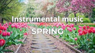 Весна. Времена года. Красивая инструментальная музыка /Spring. Seasons. Beautiful instrumental music