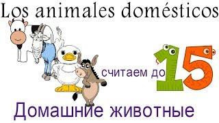 Испанский для детей.Считаем по испански до 15 -ти. Домашние животные по испански.