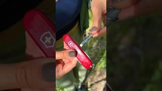 Discover the SWISS ARMY KNIFE Hack You Never Knew!  #tools4life #skills #shorts