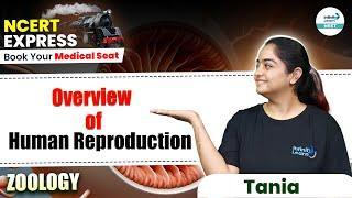 Overview of Human Reproduction | NEET 2025 Zoology |  NCERT Line by Line | @InfinityLearn_NEET