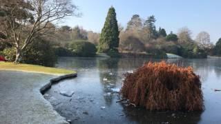 National Trust, Sheffield Park Gardens Jan2017 4k