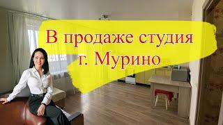 Продажа студии в Мурино | Alinaprohouse | Недвижимость СПБ