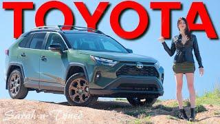 The Hybrid Dilemma.. // 2024 Toyota RAV4 Woodland Review