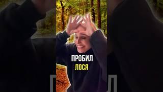 Пробил лося 🫎