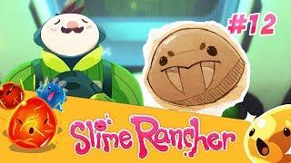 САБЛЕЗУБЫЕ СЛАЙМЫ ► Slime Rancher #12