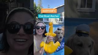 Not sponsored btw (but I tagged the anchor to this post!) #PoolTime #SwimmingDog #PoolFloatAnchor