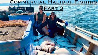 Commercial Halibut Fishing 2024 - Part 3