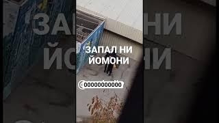 ЗАПАЛ ВИДЕО 