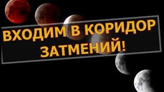  КОРИДОР ЗАТМЕНИЙ   ЧТО НЕСЕТ ВАМ КАКИЕ ПЕРЕМЕНЫ И ТРАНСФОРМАЦИИ