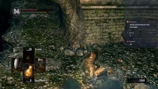 apo5to1 играет в Dark Souls