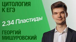 2.34. Хлоропласты, хромопласты и лейкопласты | Цитология к ЕГЭ | Георгий Мишуровский