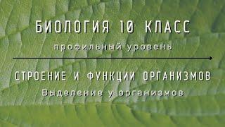 Биология 10 кл Проф уровень §36 Выделение у организмов