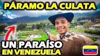 Visité El PÁRAMO LA CULATA en la Ciudad de Mérida VENEZUELA .