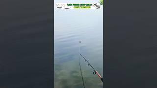 how To use Anchor Hook Fishing #shorts #fishing #rohufishing #fishingmethod #newtechnique #viral