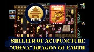 DIGGY'S ADVENTURE SHELTER OF ACUPUNCTURE (CHINA DRAGON OF EARTH)