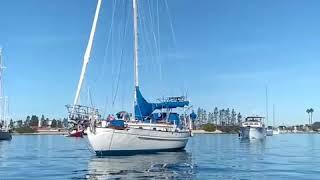 Tayana 37 anchored in Newport harbor