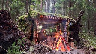 Survival in forest without  tent and sleeping bag  Building a survival shelter on my own. Bushcraft.