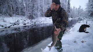 Large grayling on the taiga river, caught monsters again. He took the boat. Sea fishing.