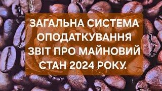 Загальна система оподаткування. Заповнюємо звіт про МАЙНОВИЙ СТАН з показниками та без показників.