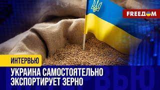 ️ ЗЕРНОВАЯ сделка без РФ: Украине посредники НЕ НУЖНЫ