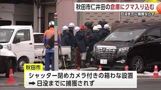 倉庫居座りのクマ…箱わな設置するも日没までに捕獲ならず　秋田市仁井田の自動車整備工場で警戒続く (24/12/26 19:00)