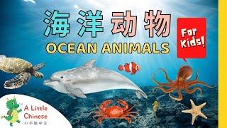 23 Ocean Animals in Chinese 海洋动物 | Animal Vocabulary | Learn Chinese for Kids, Toddlers & Babies