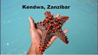 Kendwa | Zanzibar 