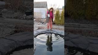 Есть на даче пруд, всегда будет вода #пруд #шорт #дача #пруднадаче #diy